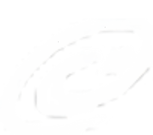 e-Devlet